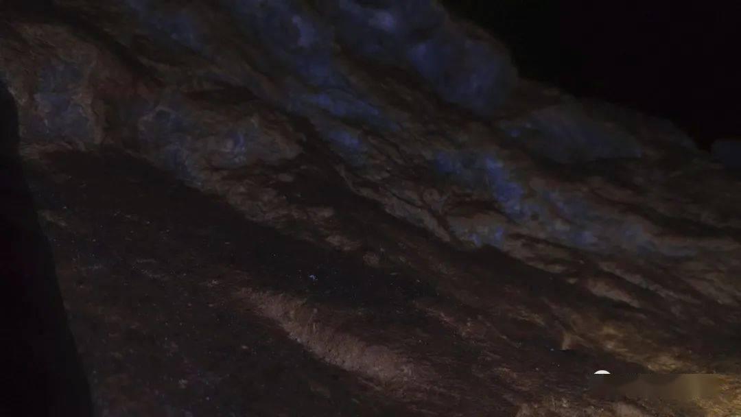 校园女生找不同3