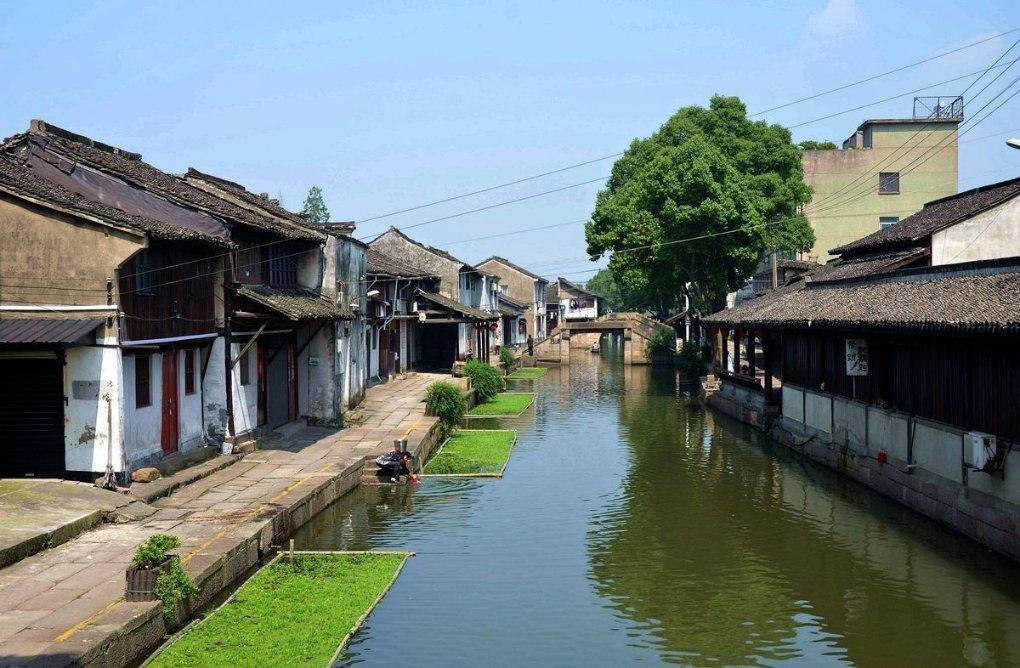 奔跑的兔子